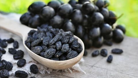 Mayizning ko&lsquo;pchilikka ma&rsquo;lum bo&lsquo;lmagan 7 ta foydali xususiyati