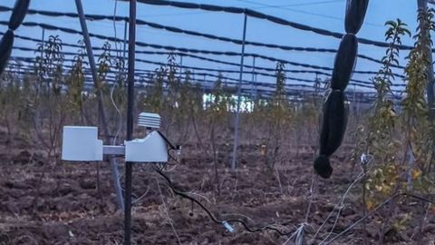 FAO study explores digital agriculture challenges and solutions in Tajikistan&nbsp;
