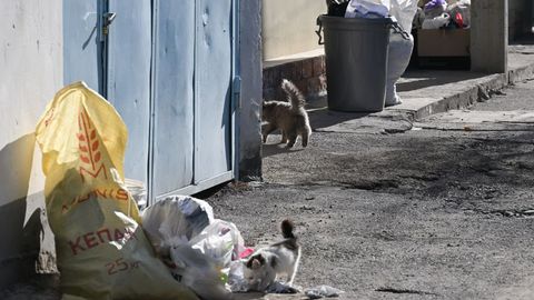 Toshkent va Surxondaryo viloyatlarida&nbsp;chiqindi xizmati tariflari oshdi