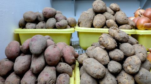 O&lsquo;zbekistonda kartoshka narxi qachon tushadi?