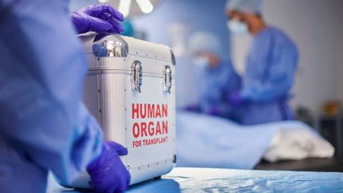 Qirg&lsquo;iziston imomlari SSVga murda a&rsquo;zolarini ko&lsquo;chirib o&lsquo;tkazishga ruxsat berdi&nbsp;