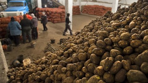 Qirg&lsquo;iziston ham kartoshka eksportini taqiqlamoqchi