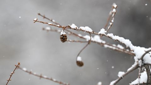 Ўзбекистонда 12 февраль куни айрим жойларда қор ёғади