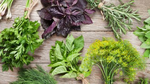 Vitaminlar manbayi: har kuni dasturxondan joy olishi kerak bo&lsquo;lgan foydali ko&lsquo;katlar ro&lsquo;yxati