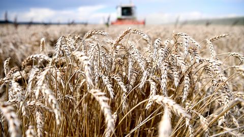 Kazakhstan plans to introduce AI-driven solutions in agriculture by 2025-2026&nbsp;