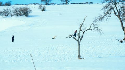 O&lsquo;zbekistonning ikki viloyatida yana qor ko&lsquo;chishi xavfi e&rsquo;lon qilindi