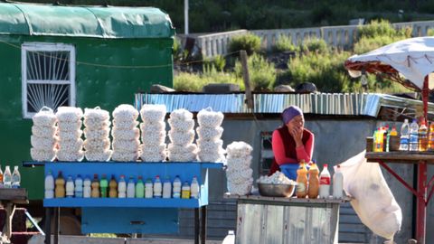 FAO, Kyrgyzstan partner to strengthen food safety and quality standards&nbsp;