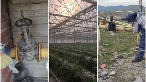 Toshkent viloyatida 3 mlrd so&lsquo;mlik gazdan noqonuniy foydalangan issiqxona aniqlandi