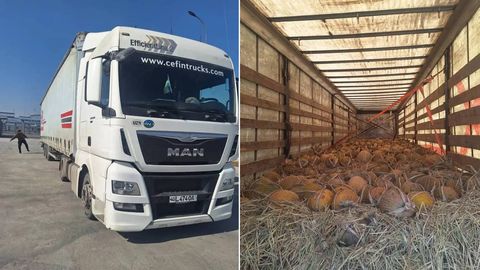 Кыргызстан вернул в Узбекистан 14 тонн дыни из-за фитосанитарных нарушений&nbsp;