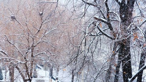 O&lsquo;zbekistonning qator hududlarida 26-fevralda ham qor yog&lsquo;adi