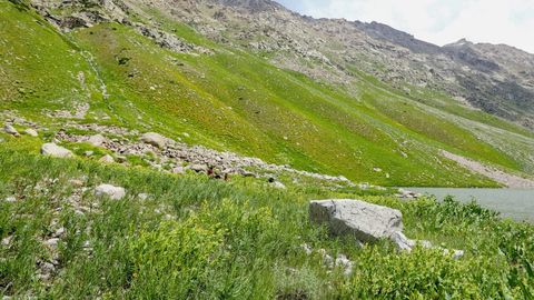 Uzbekistan adopts new environmental assessment law, mandates public hearings&nbsp;