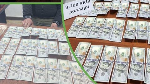 Qashqadaryo va Buxoroda &ldquo;valyutchik&rdquo;lar ushlandi