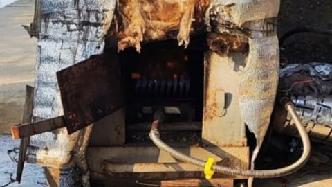 Қорақалпоғистон ва икки вилоятда 1 млрд сўмдан зиёд қийматли табиий ресурслардан ноқонуний фойдаланилгани аниқланди&nbsp;