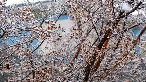 Ўзбекистоннинг қатор ҳудудларида 28 февраль куни ёмғир, қор ёғиши мумкин
