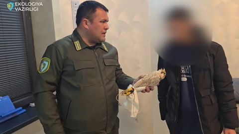 Farg&lsquo;onada noyob qushni noqonuniy saqlab kelgan fuqaro qo&lsquo;lga olindi