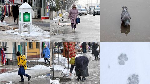 Фото: Тошкентнинг баҳорги қори — табиатнинг кутилмаган совғаси 