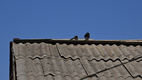 Ўзбекистонда февраль ойида ёғингарчилик меъёрдан кам бўлди