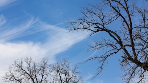 O&lsquo;zbekistonliklarni kelayotgan hafta boshida qanday ob-havo kutmoqda?
