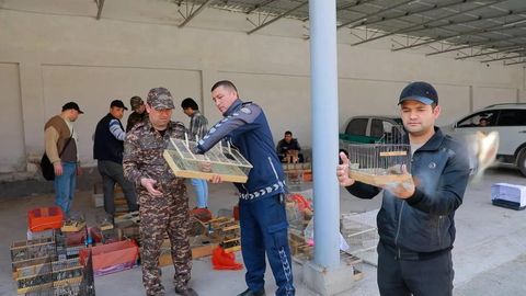 Toshkentda mingdan ortiq qush va cho&lsquo;l toshbaqalari noqonuniy sotilayotgani aniqlandi (foto)