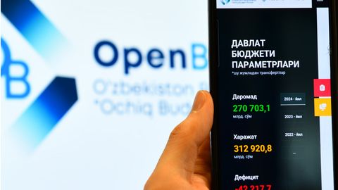 Majburiy ovoz to&lsquo;plangan loyihalar &ldquo;Tashabbusli byudjet&rdquo;dan chetlatiladi
