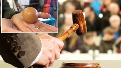 Dumaloq shakldagi tuxum Buyuk Britaniyadagi auksionda 500 dollarga sotildi