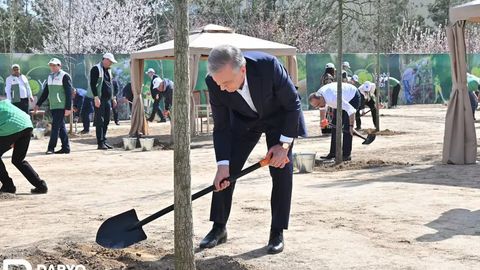 Shavkat Mirziyoyev Bektemir tumanidagi yangi bog&lsquo;ga ko&lsquo;chat ekdi (foto)