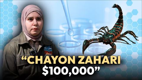 Chayon zahri: o&lsquo;lim xavfimi yoki shifo manbayi?
