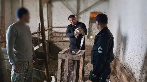 Farg&lsquo;onada bir dona yilqichi qushini sotmoqchi bo&lsquo;lgan shaxs jarimaga tortildi