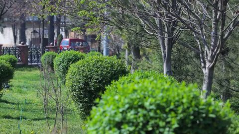 Какая погода ожидается в Узбекистане в апреле?