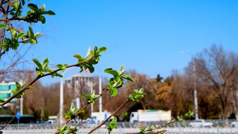 O&lsquo;zbekistonda 1-apreldan qanday o&lsquo;zgarishlar kuchga kiradi?&nbsp;
