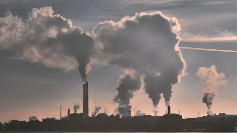 Havo ifloslanishining bolalar rivojlanishiga xavfi aniqlandi&nbsp;