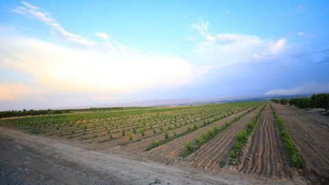 Uzbekistan cuts land tax for high-yield farmers by threefold &nbsp;