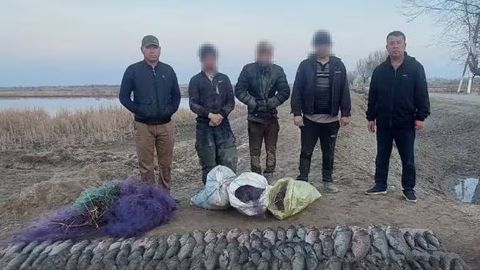 Qoraqalpog&lsquo;istonda noqonuniy baliq ovlash natijasida tabiatga 752 mln so&lsquo;m zarar yetkazildi