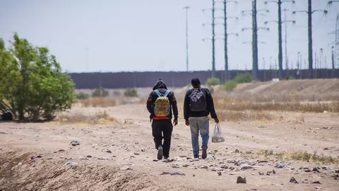 BMT vakili: &ldquo;Dunyoda bedarak yo&lsquo;qolganlar soni rekord darajaga yetdi&rdquo;&nbsp;