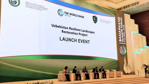 Uzbekistan, World Bank launch $153mn project to restore degraded forests and lands&nbsp;