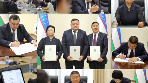 Chinese company to build 9 mini hydroelectric plants in Uzbekistan