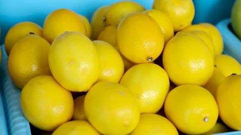 Norin, Shahrisabz, Uchko&lsquo;prik va Denov tumanlarida 1 mln dona sifatli limon ko&lsquo;chati yetishtirish yo&lsquo;lga qo&lsquo;yiladi
