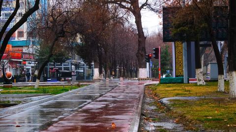 O&lsquo;zbekistonda piyodalar yo&lsquo;laklaridan harakatlangan haydovchilar javobgarlikka tortiladi&nbsp;