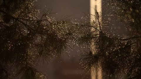 O&lsquo;zbekistonning ikki hududida shanba kuni yomg&lsquo;ir yog&lsquo;adi&nbsp;