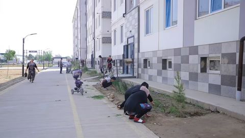 Toshkentda 12 va 13-aprel kunlari hashar o&lsquo;tkaziladi