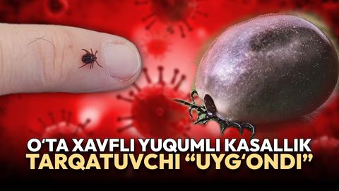 O&lsquo;zbekistonda o&lsquo;ta xavfli yuqumli kasallik tarqatuvchi &ldquo;uyg&lsquo;ondi&rdquo;