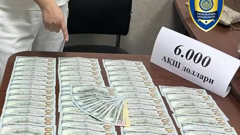 Тошкентда уч кишини Қашқадарёга ўқишга киритиб қўйишни ваъда қилган шахс ушланди
