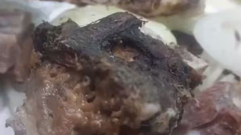 Сурхондарёдаги кафеда тандир гўштда қуртлар борлиги акс этган видео тарқалди&nbsp;
