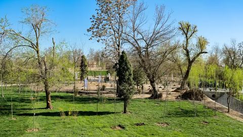 В Ташкенте откроется первый общественный зеленый парк