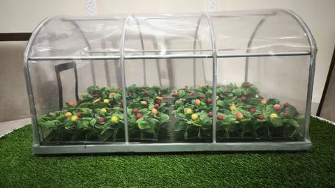Uzbekistan to launch production of smart temperature-regulating greenhouse film with China&nbsp;