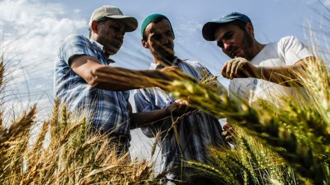 FAO boosts Tajikistan&rsquo;s agricultural cooperatives with support for rural development and productivity&nbsp;