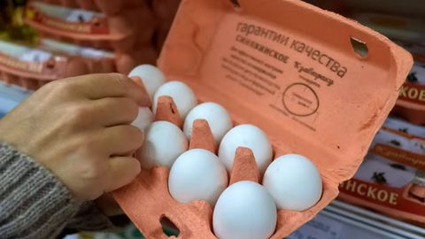 Россияда тухум ўғирлаган эркак 7 йилга қамалди