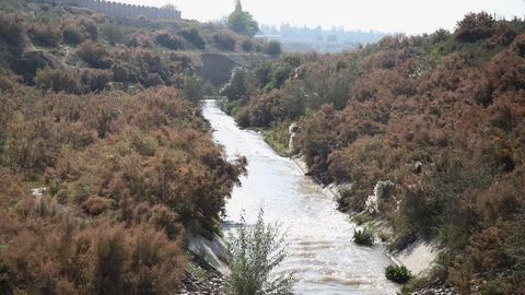 Central Asia's growing farmland drives surge in irrigation equipment demand