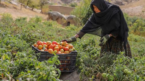 Afghanistan&rsquo;s growth fails to ease widespread hardship as UNDP warns of escalating vulnerabilities&nbsp;