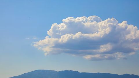 O&lsquo;zbekistonning ayrim hududlarida 9-may kuni yomg&lsquo;ir yog&lsquo;adi